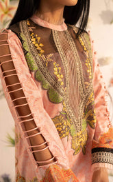 Asifa & Nabeel Meraki Summer Collection